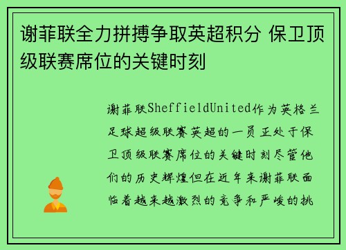 谢菲联全力拼搏争取英超积分 保卫顶级联赛席位的关键时刻
