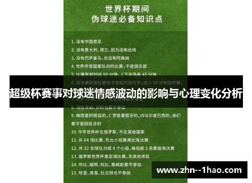 超级杯赛事对球迷情感波动的影响与心理变化分析