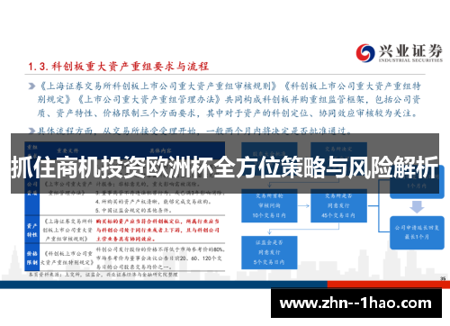 抓住商机投资欧洲杯全方位策略与风险解析