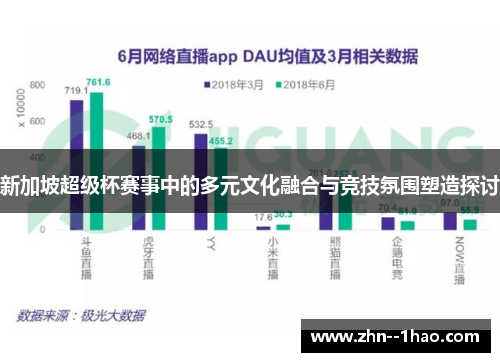 新加坡超级杯赛事中的多元文化融合与竞技氛围塑造探讨