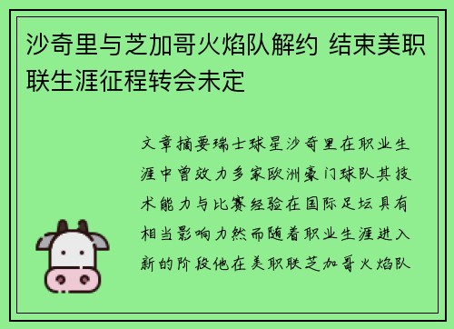 沙奇里与芝加哥火焰队解约 结束美职联生涯征程转会未定